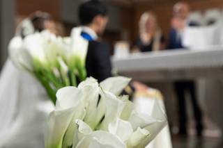 Fioreria M'ama non m'ama - 11