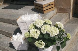 Aglae Fiori - 7