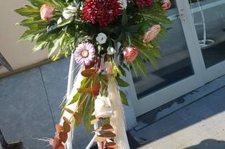 Garden Shop La Talpa - 12