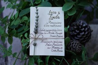 Trucioli di Legno 2