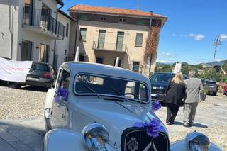 Le Auto di Magnolia - 14