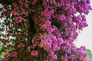 Raffaele Rotondo Photography - 8