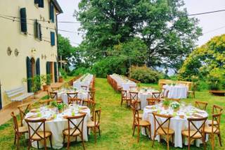 Bianchi Fiori e Piante - 5