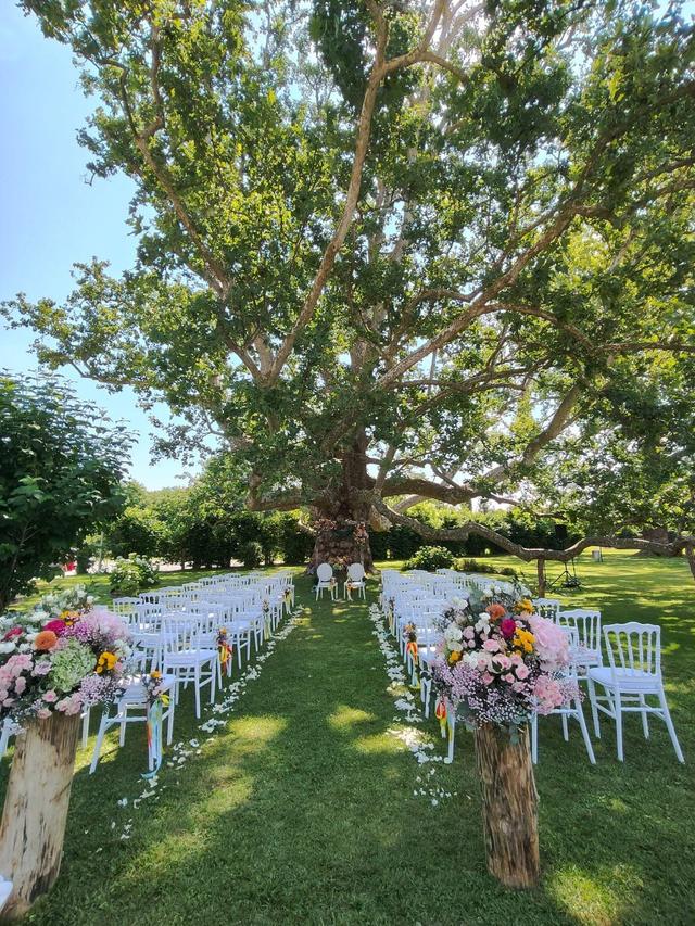 Villa Soleil - 2