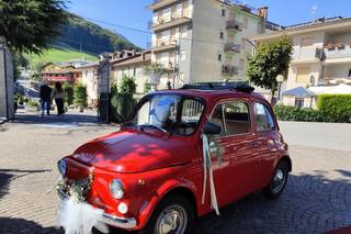 Mattoncini Fioriti - 4