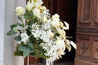 Aromi & Natura Continua - 15