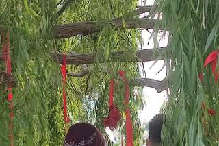 Celestial Handmade - 13