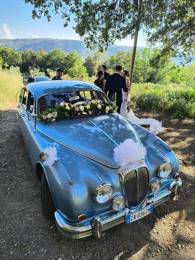 Bartuca Motors Group - 2