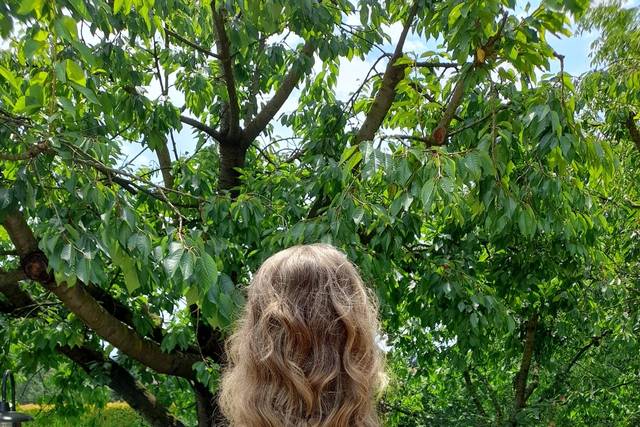 Facelook Hair Designer 1