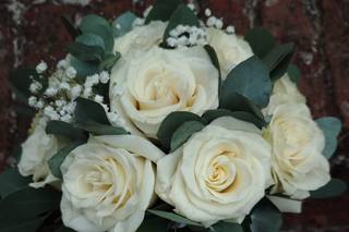 Fiori di Franca - 11