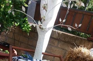 Party Project - 6