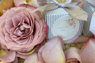 Lidia Design - 18