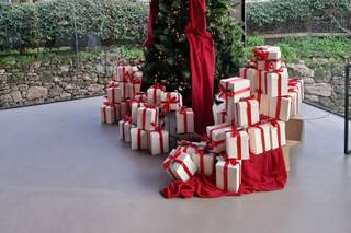 Concetta Piccolo Event Designer - 12