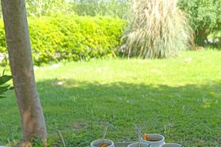 Cucina da Manuale - 5