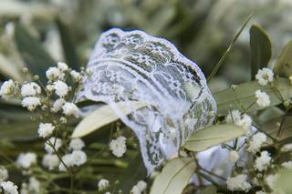 Centro Fiori Padova - 21