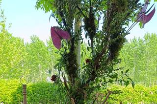 Cucina da Manuale - 7