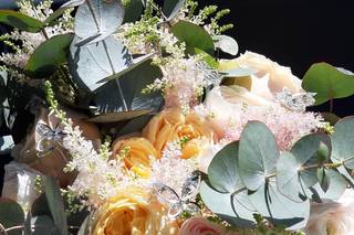 Fiori Magie - 12