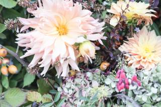 Lulla's Flowers - 9