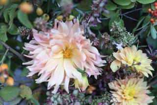 Lulla's Flowers - 10