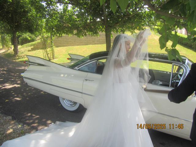 Privilegio - Decapottabile Ford T- Bird Roadster 63 - Cadillac 59 - 4