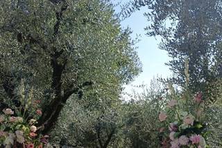 Marchesane in Fiore - 5