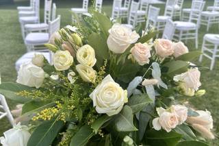 Gigi Piante Grasse - 14