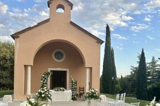 Gigi Piante Grasse - 15