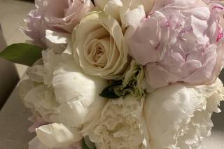 Severingarden - 20