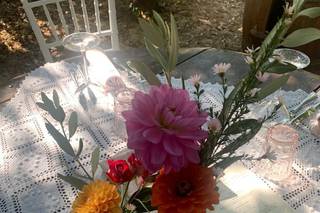 Fioreria Idea Verde Rimini - 32