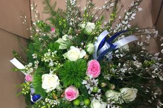 Coccole Fiorite - 19