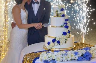 Michele Paribello Wedding - 11