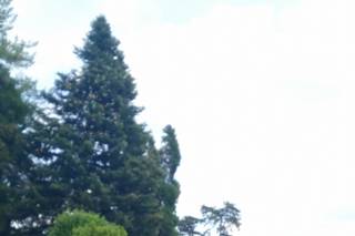 Dea Acconciature - 17