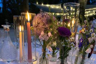 Bianco su Bianco - 7