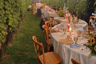 Dell'Erba Azienda Agricola - 9