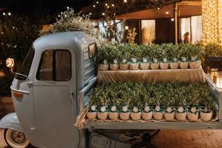 Home & Garden - 8
