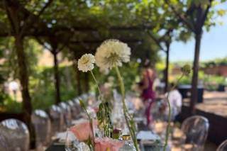 Rocca di Arignano - 5