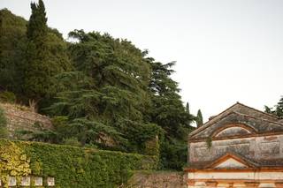 Michela Schiavon Wedding & Event Planner - 7