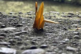 Istar Viaggi & Turismo - 6