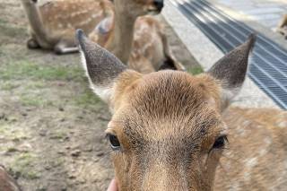 Istar Viaggi & Turismo - 7