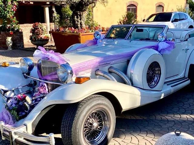 FlorArt - Floral Designer - 4