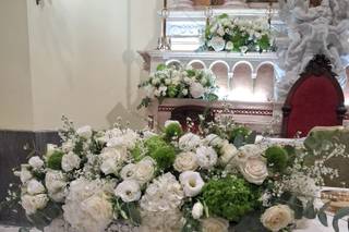 Albachiara di Crea Maria - 9
