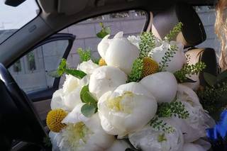 Il Nido dei Fiori - 17