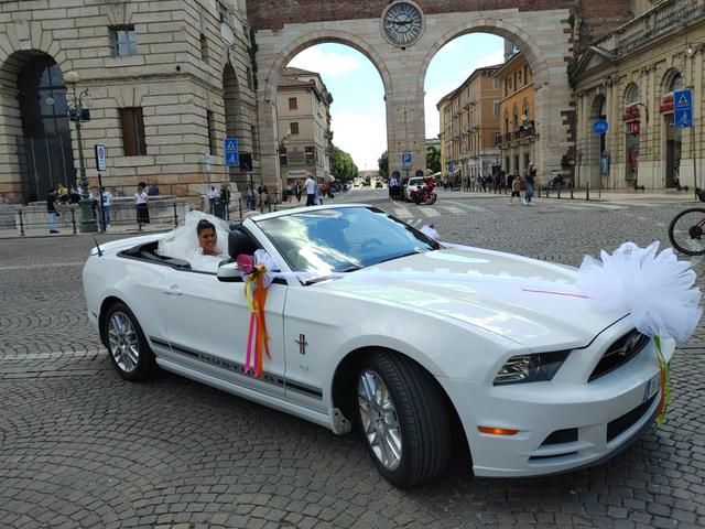 Mustang Noleggio - 3