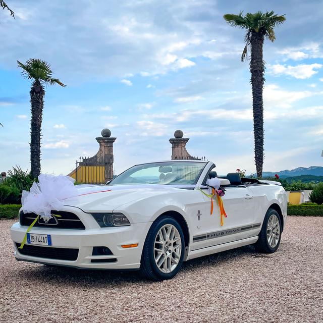Mustang Noleggio - 4