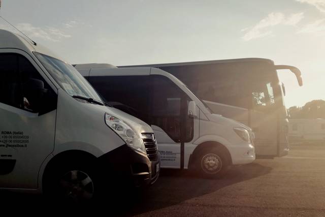 Gianesi bus & Limousine S.r.l. 3