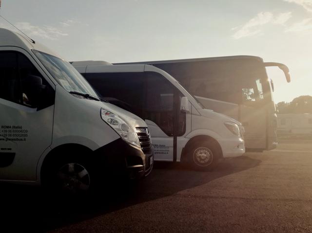 Gianesi bus & Limousine S.r.l. - 3