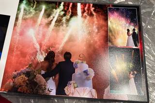 Falco fotografi - 11