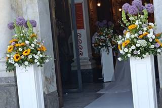 Piante e Fiori Di Franco Anna - 6