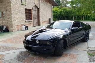 Noleggio Ford Mustang GT V8 - 16