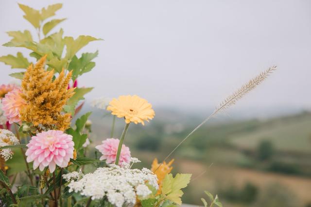 Fiorichiari Studio - 4